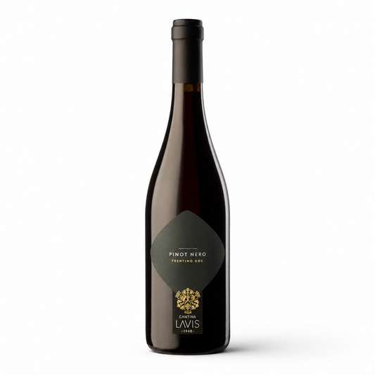 Cantina Lavis Pinot Nero Trentino DOC 2023 Red Wine (750ml)