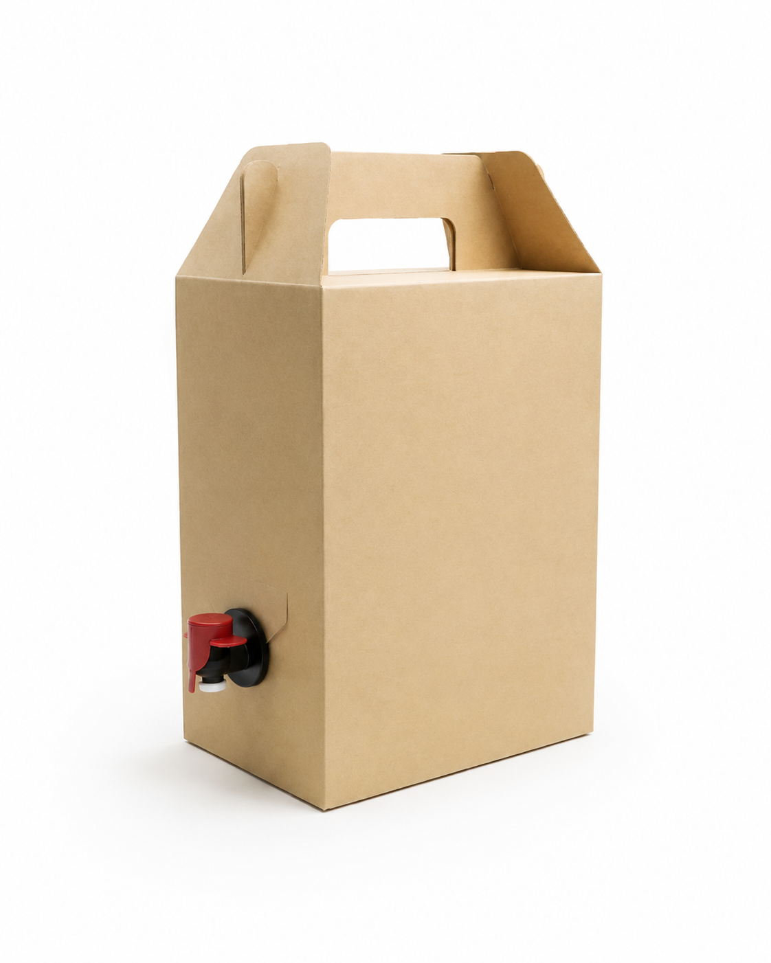Assorted Fruit Juices (5L Dispensers)
