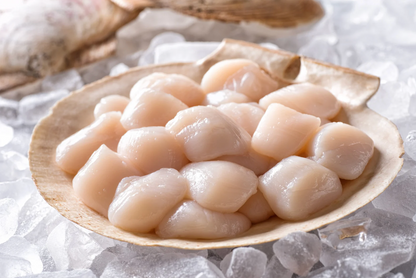 Herbed Garlic Butter Japanese Scallops (500g)