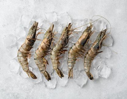Tiger Prawns (1 kg)