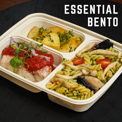 Essential Bento Set